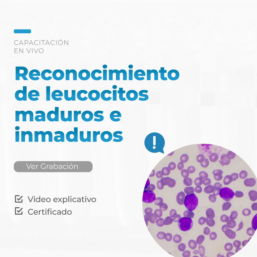 Reconocimiento de leucocitos maduros e inmaduros - Taller Live 2025