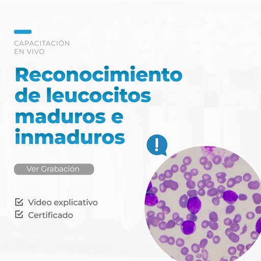 Reconocimiento de leucocitos maduros e inmaduros, serie de casos 1 - Taller Live 7 2025