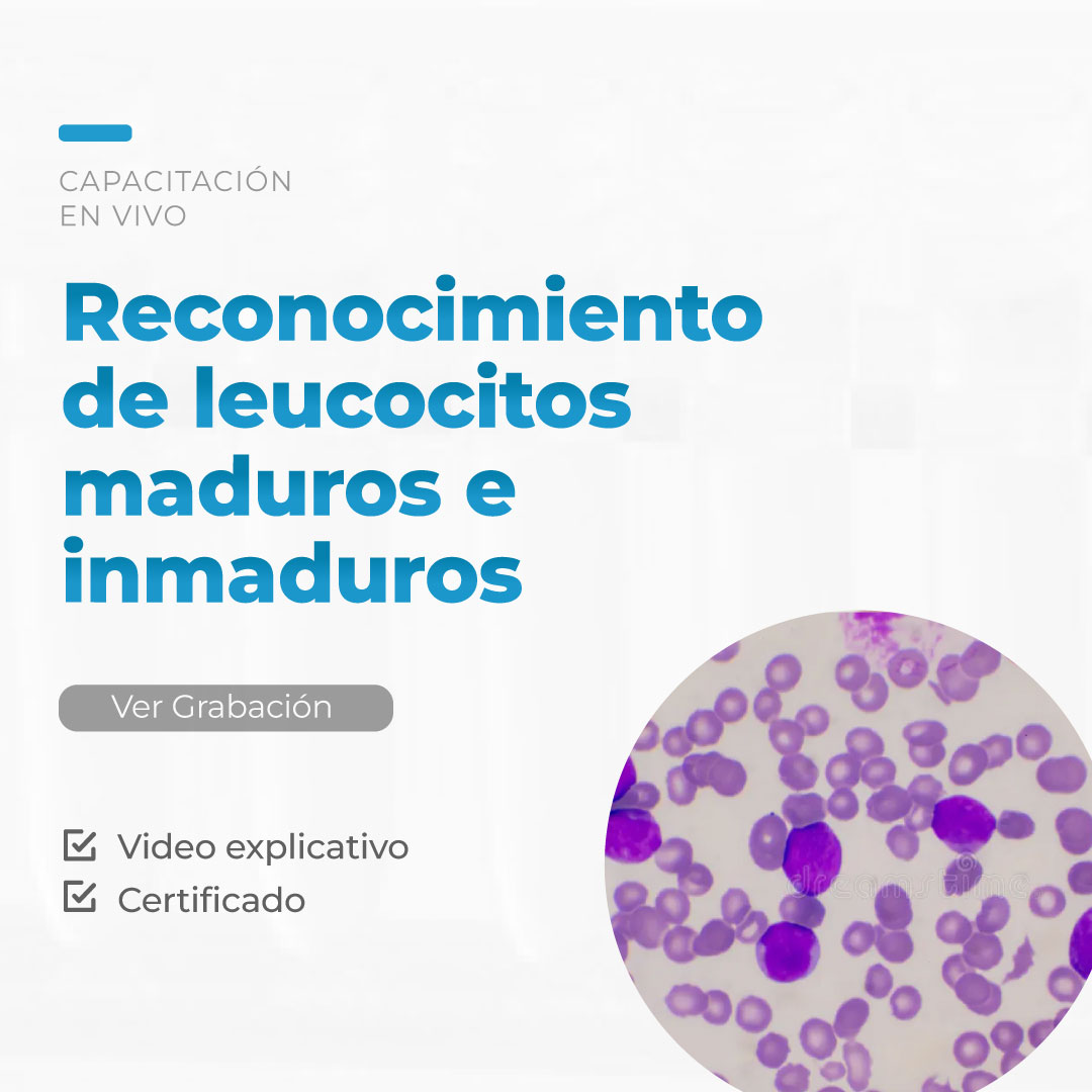 Reconocimiento de leucocitos maduros e inmaduros - Taller Live 12 2026