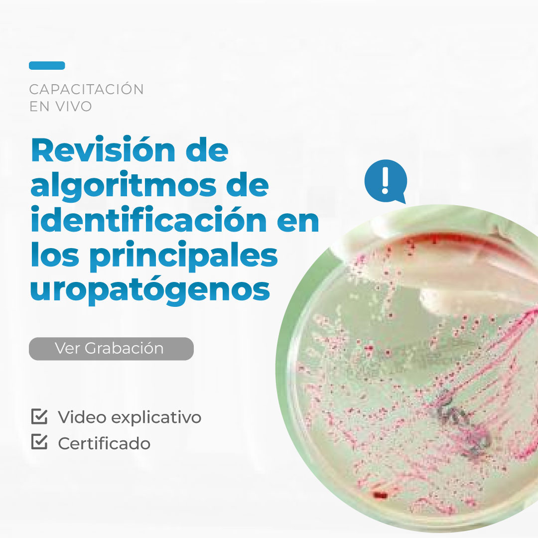 Revisión de algoritmos de identificación en los principales uropatógenos - Taller Live 13 2026